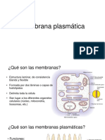 Documento 1