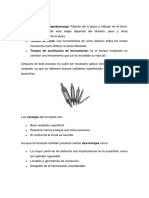 DESARROL Procesos