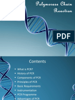 PCR