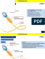 Presentation 2