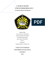 Laporan Resmi Praktikum Mikrobiologi I