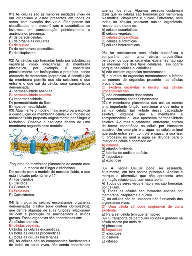 Questões sobre Membrana Plasmática | PDF | Célula (Biologia) | Procarionte