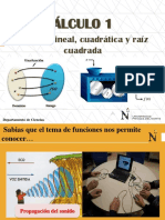 Función Lineal y Raíz Cuadrada