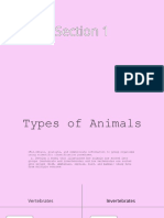 Types of Animals Iwb Lesson 1