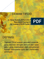 Demam Tifoid