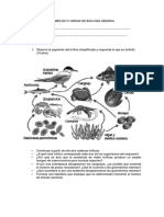 Examen de IV Unidad de Biología General