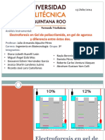 Electroforesis de Gel de Poliacrilamida en Gel de Agarosa y Diferencia Entre Ambas Analisis Instrumental