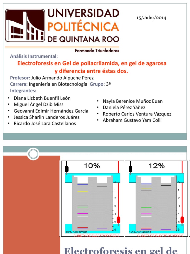 Diferencia Entre Southern Blot Y Northern Blot