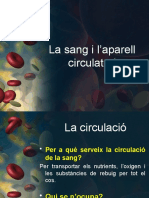 La sang i l’aparell circulatori