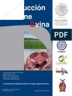 Manual Producción de Carne Ovina 