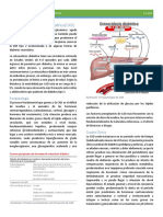 Tema 17 Cetoacidosis Diabética (CAD) PDF