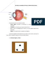 TEMA 1 Plastica