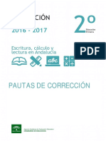 Pautas_ESCALA_2017.pdf