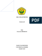 Organisasi-Proyek