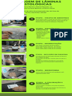Montagem de Lâminas - Infográfico PDF