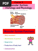 Muscular System: Histology and Physiology