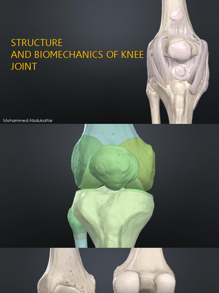 Structure and Biomechanics of Knee Joint | PDF