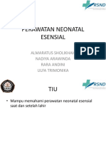 Penyuluhan neonatal esensial.pptx