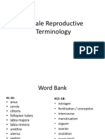 Female Reproductive Terminology