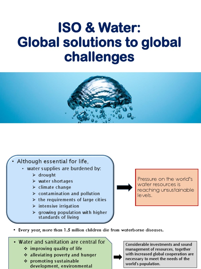 Global Solutions for Water Sanitation | PDF | Drinking Water | Water ...