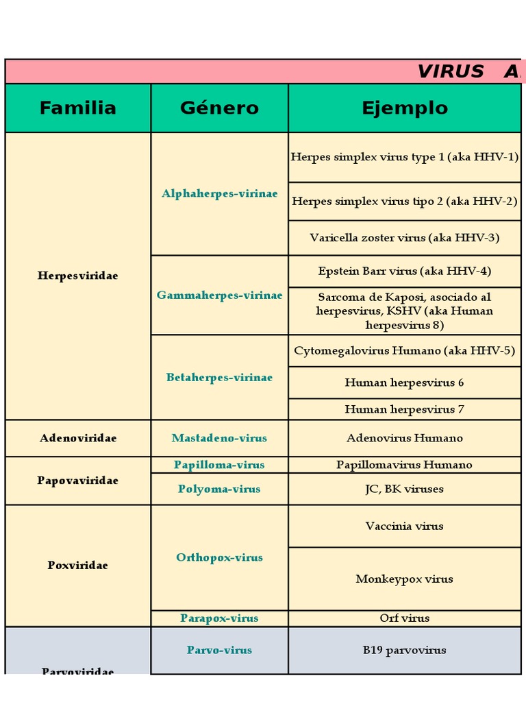 virus clasificación Virus Virología