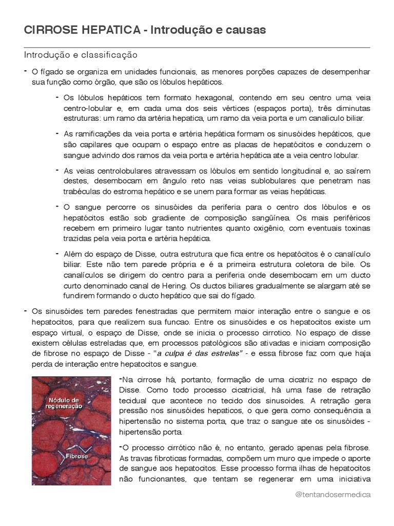 VX 650 fundus showcase - Visionix, image size:768x1024