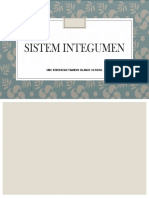 Sistem Integumen