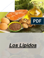 LIPIDOS DDDDD.pptx