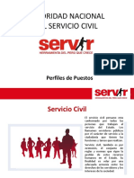 Perfiles de Puestos - SERVIR