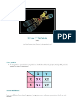 Cruce Trihíbrido