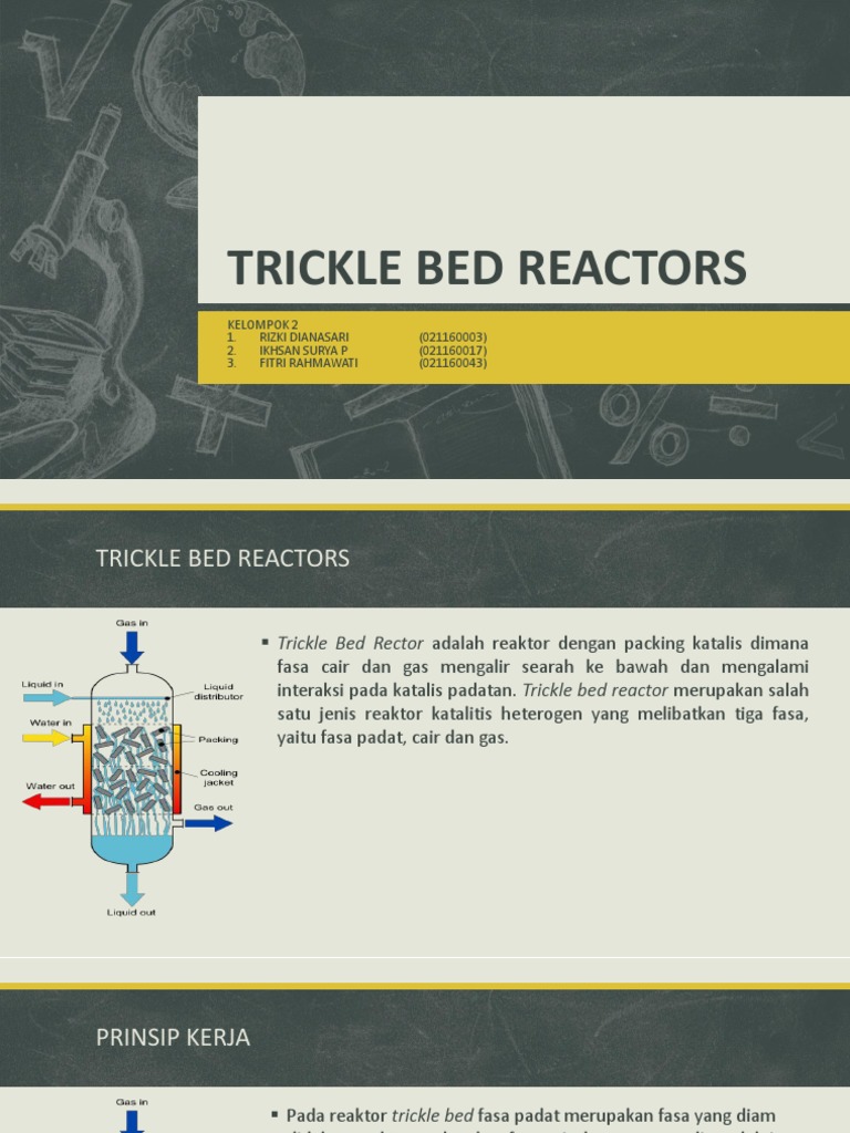 Trickle Bed Reactor Presentasi | PDF