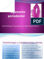 Ligamento Periodontal