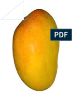 Alphonso Mango Fruit 500x500