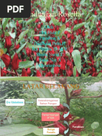 Download Kandungan Rosella by Faradina  Astarini SN39496290 doc pdf