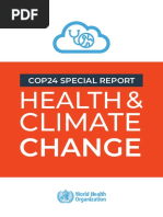 COP24 Special Report Final 1