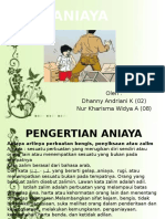 Presentasi ANIAYA