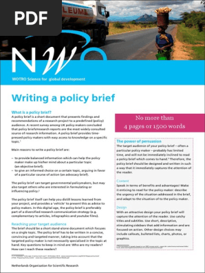 Basic Policy Brief Template Example