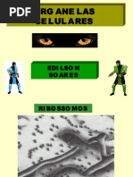 Biologia PPT - Organelas Celulares