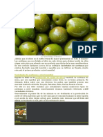 Cuántos Tipos de Aceitunas Hay