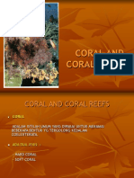 Coral Reef Januari 2012