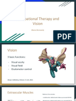 Ot and Vision