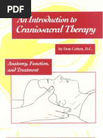 Download An Introduction to Craniosacral Therapy- Anatomy Function and Treatment by johndoejr SN39500622 doc pdf