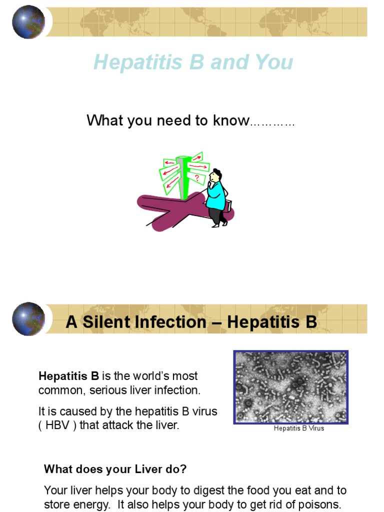 Hepatitis B and You: What You Need To Know | PDF | Hepatitis B | Hepatitis