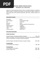 Michael Andres Hidalgo Espejo PDF