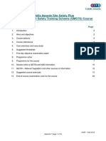 Ssp-Appendix 07 Smsts CDM