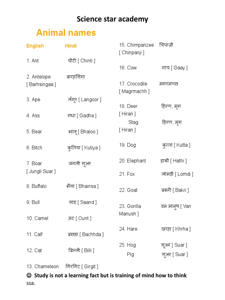 Animal Names | PDF