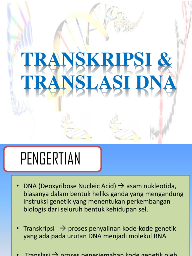 Transkripsi Dan Translasi Dna | PDF