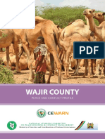 Wajir County, Kenya Peace and Conflict Profile