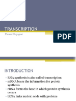 METAB Transcription