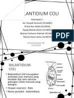 Balantidium Coli: Morfologi, Sebaran, Patogenitas dan Pengobatan